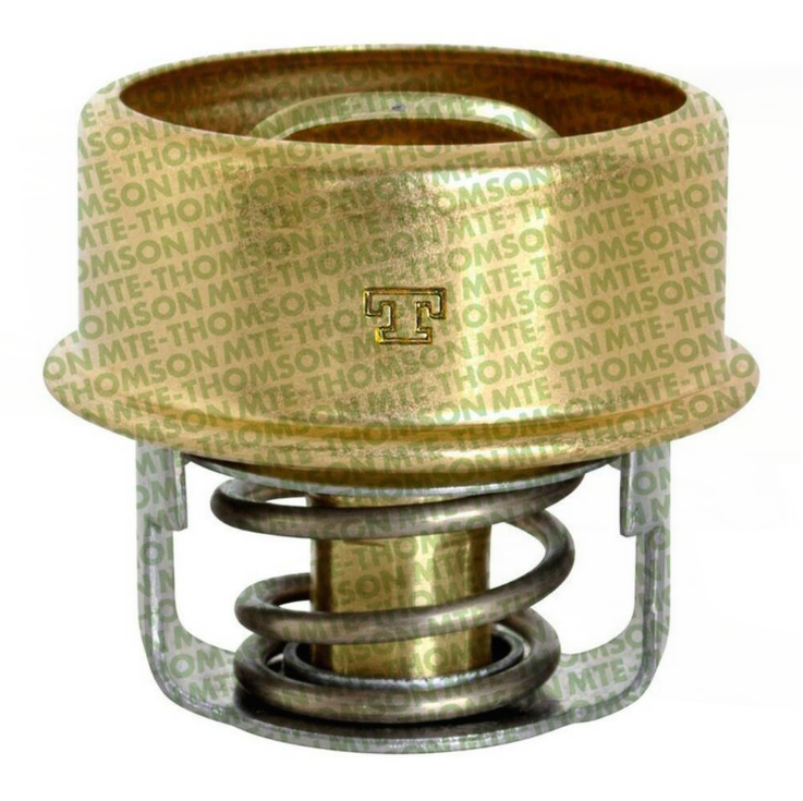 TERMOSTATO | RENAULT
