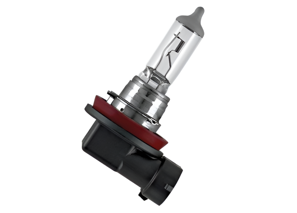 LAMPARA HALOGENA | H11 12V 55W PGJ19-2