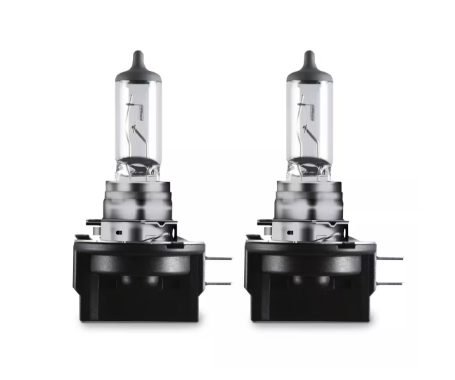 LAMPARA HALOGENA | H11B 12V 55W PGJ19-2