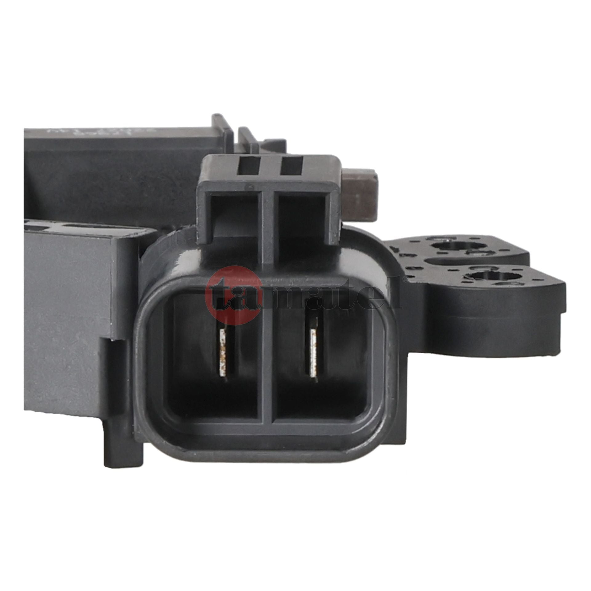 REGULADOR DE VOLTAJE TIPO VALEO | 12V 2P