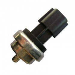 SENSOR DE TEMPERATURA E INYECCION | RENAULT-SUZUKI