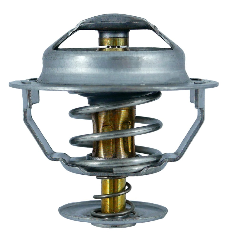 TERMOSTATO | FORD