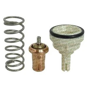 TERMOSTATO | VW-AUDI
