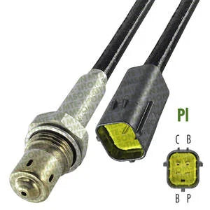 SONDA LAMBDA THOMSON | NISSAN