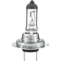 178555011 LAMPARA HELLA HALOGENA H7