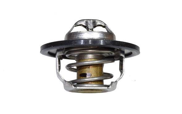 TERMOSTATO | RENAULT