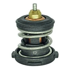 TERMOSTATO | VW
