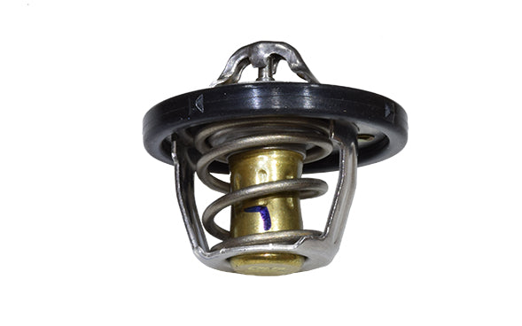 CARCAZA TERMOSTATICA CON TERMOSTATO | FORD